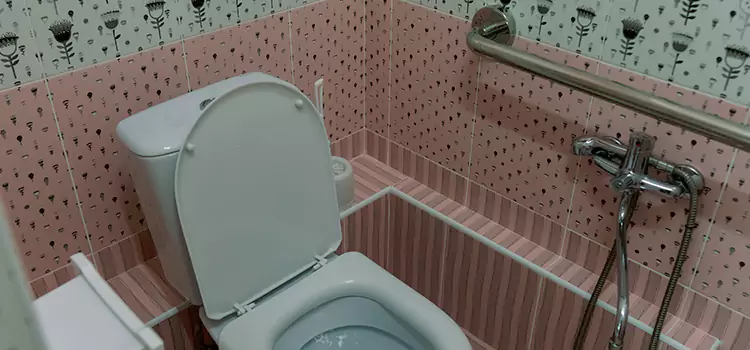 Meeting Diverse Needs With Accessible Restroom Solutions in Evanston, IL
